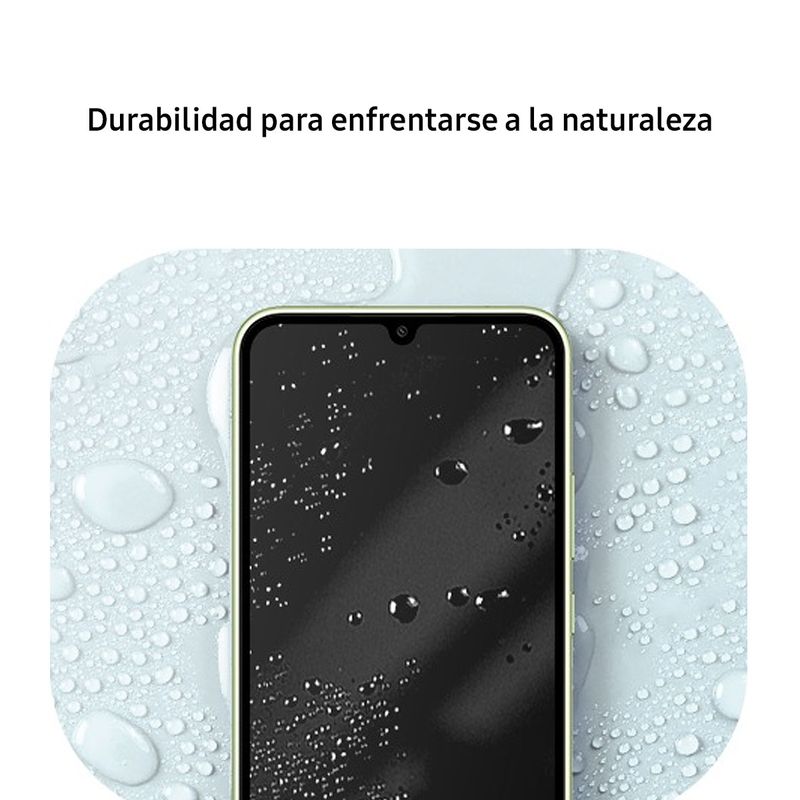 Frente