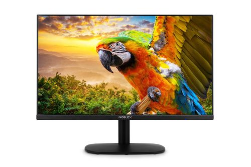 Monitor Noblex 24" 91MK24X7100 FHD